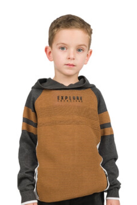 Energiers Πλεκτή, βαμβακερή, δίχρωμη μπλούζα  με κουκούλα για αγόρι